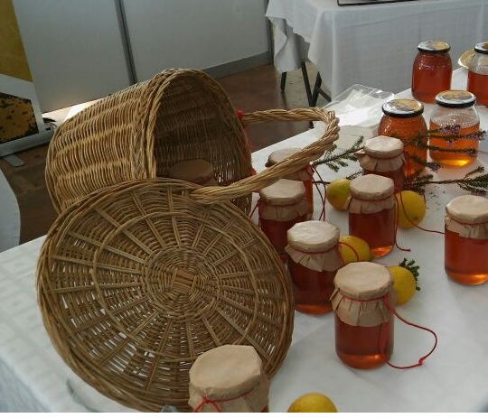 Miel de Ibiza - Islas Baleares - Productos agroalimentarios, denominaciones de origen y gastronomía balear